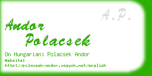 andor polacsek business card